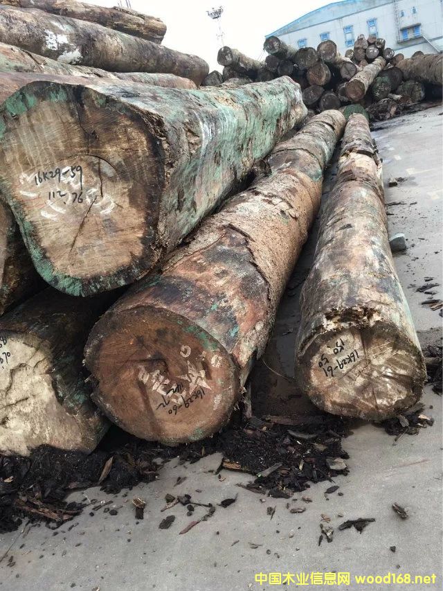 �G��ɣ���l��Ԕ����B