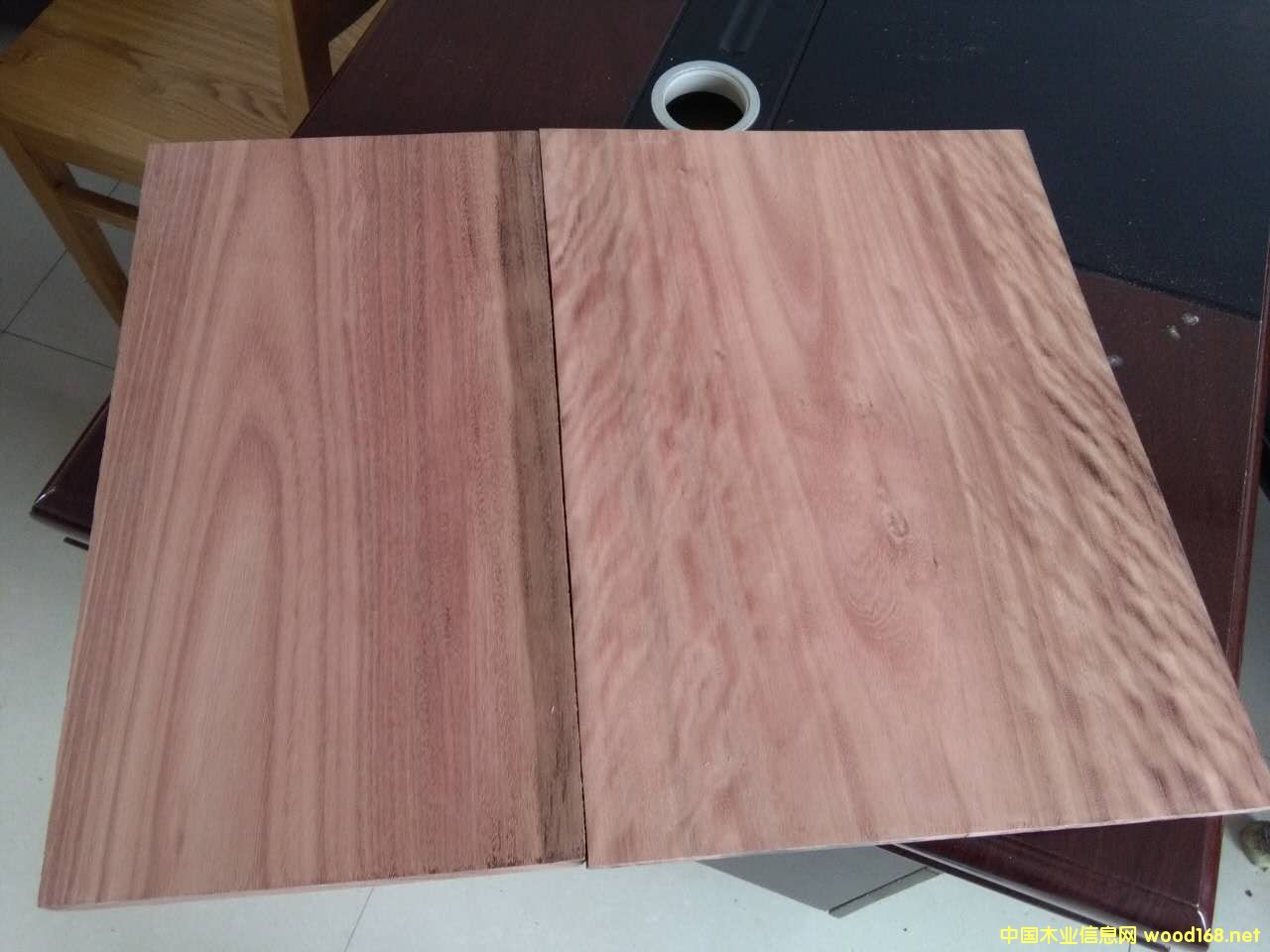 õ��ľ��Ԕ��(x��)��B