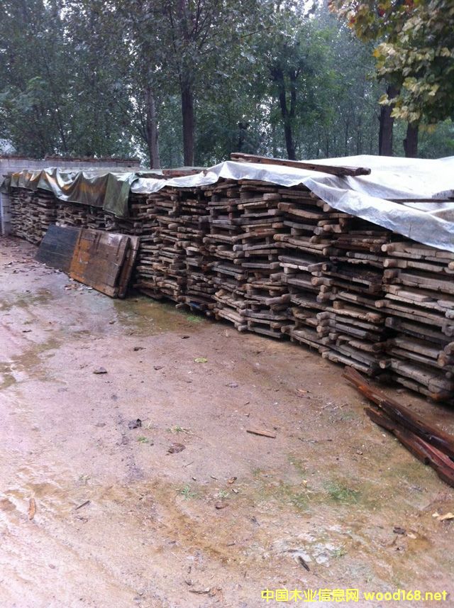 ���T��04��Ԕ����B