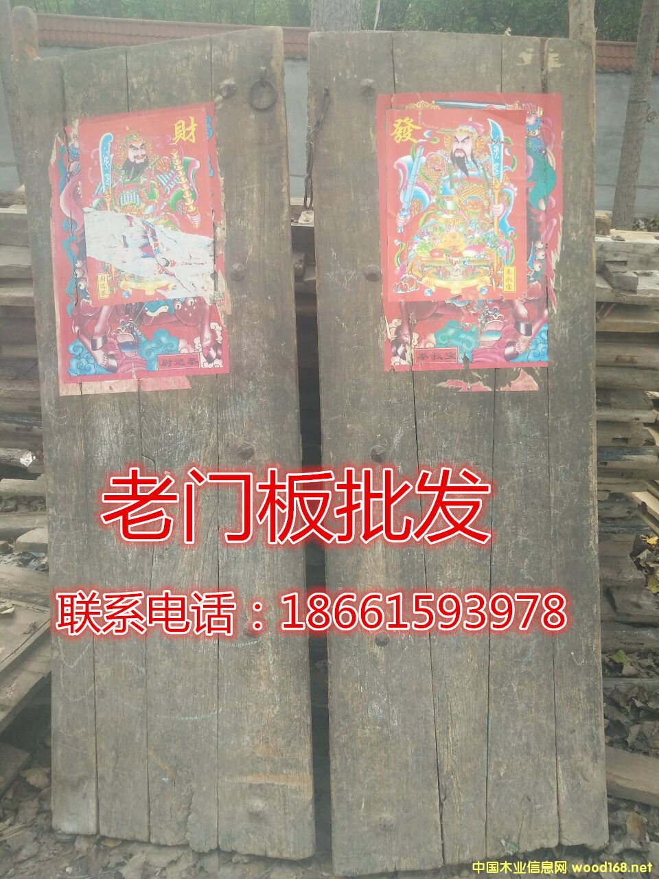 ����ľ�T��08��Ԕ����B