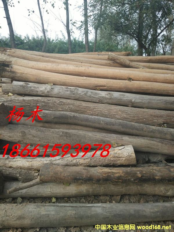 ��ľ��Ԕ����B