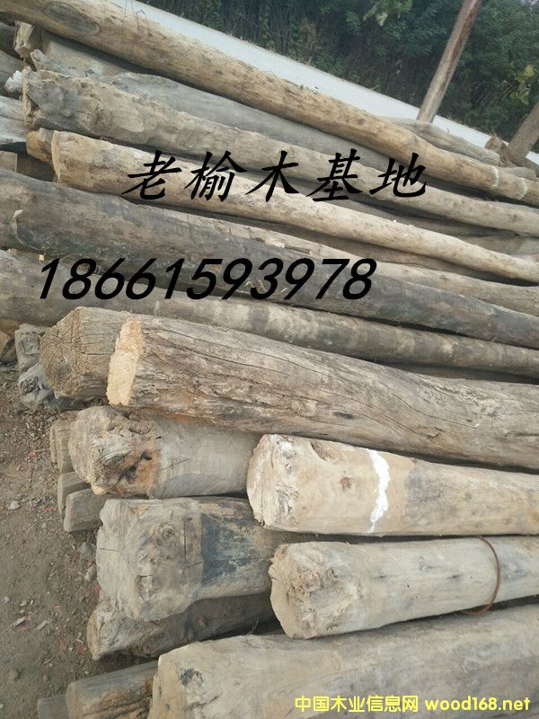 ����ľ02��Ԕ����B