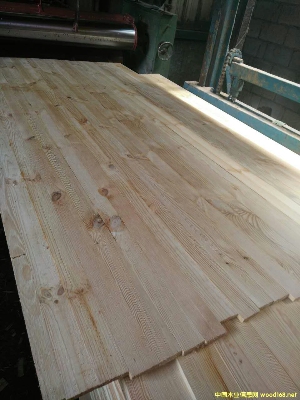 17mm���������B���Ԕ����B