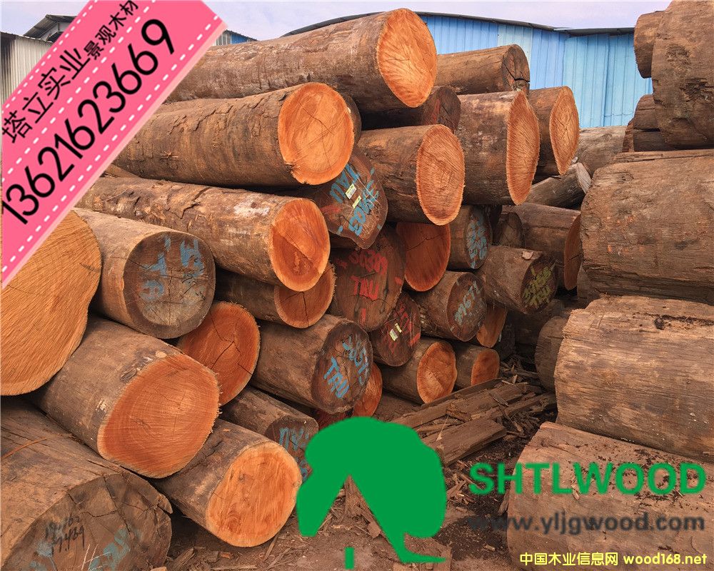 �̈́�ľ���t��ľ���t���񡢰͵�ľ����ľ���y��ľ���ڂ��ҡ���ľ