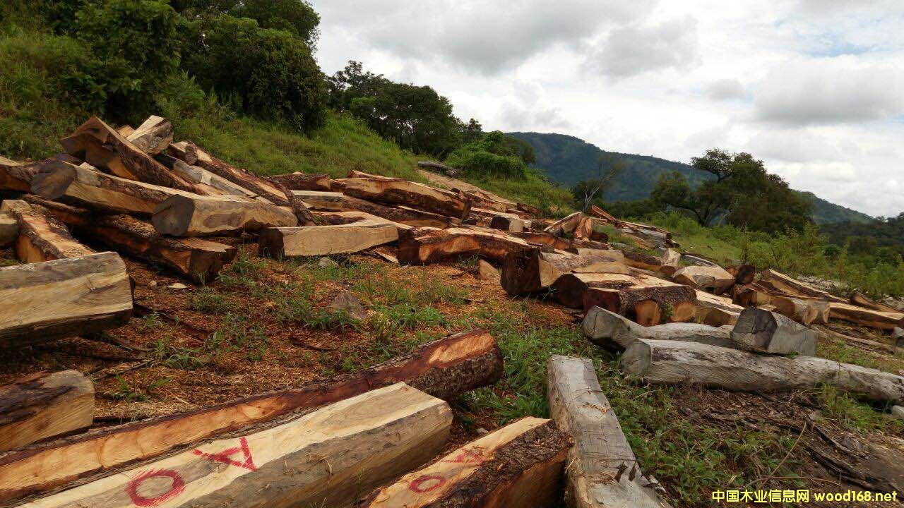 ���������S�����Ԕ����B