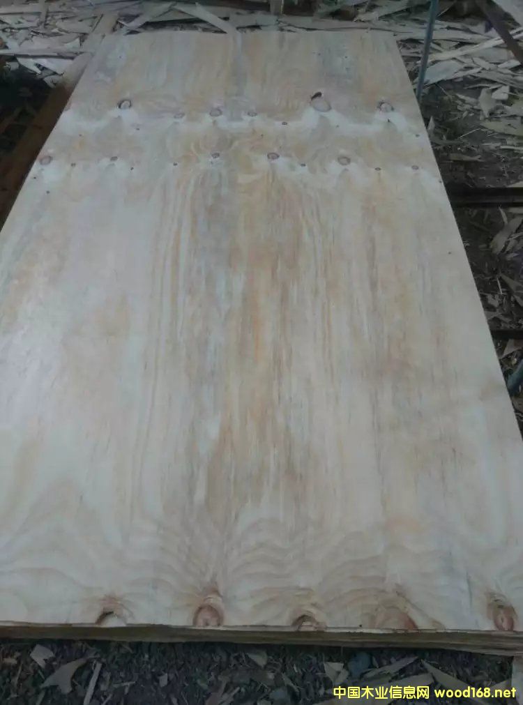 ݗ�����L�а��Ԕ��(x��)��B