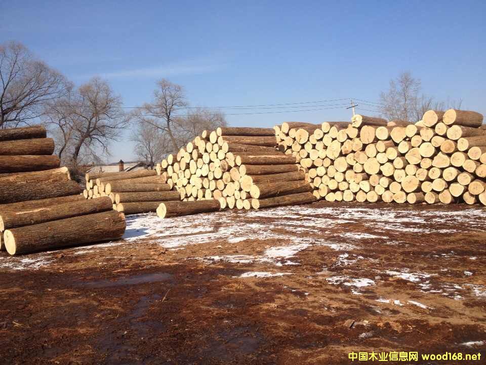 [��] ������Ϟľ|�M�ڰ�Ϟľ|�f�dľ�I