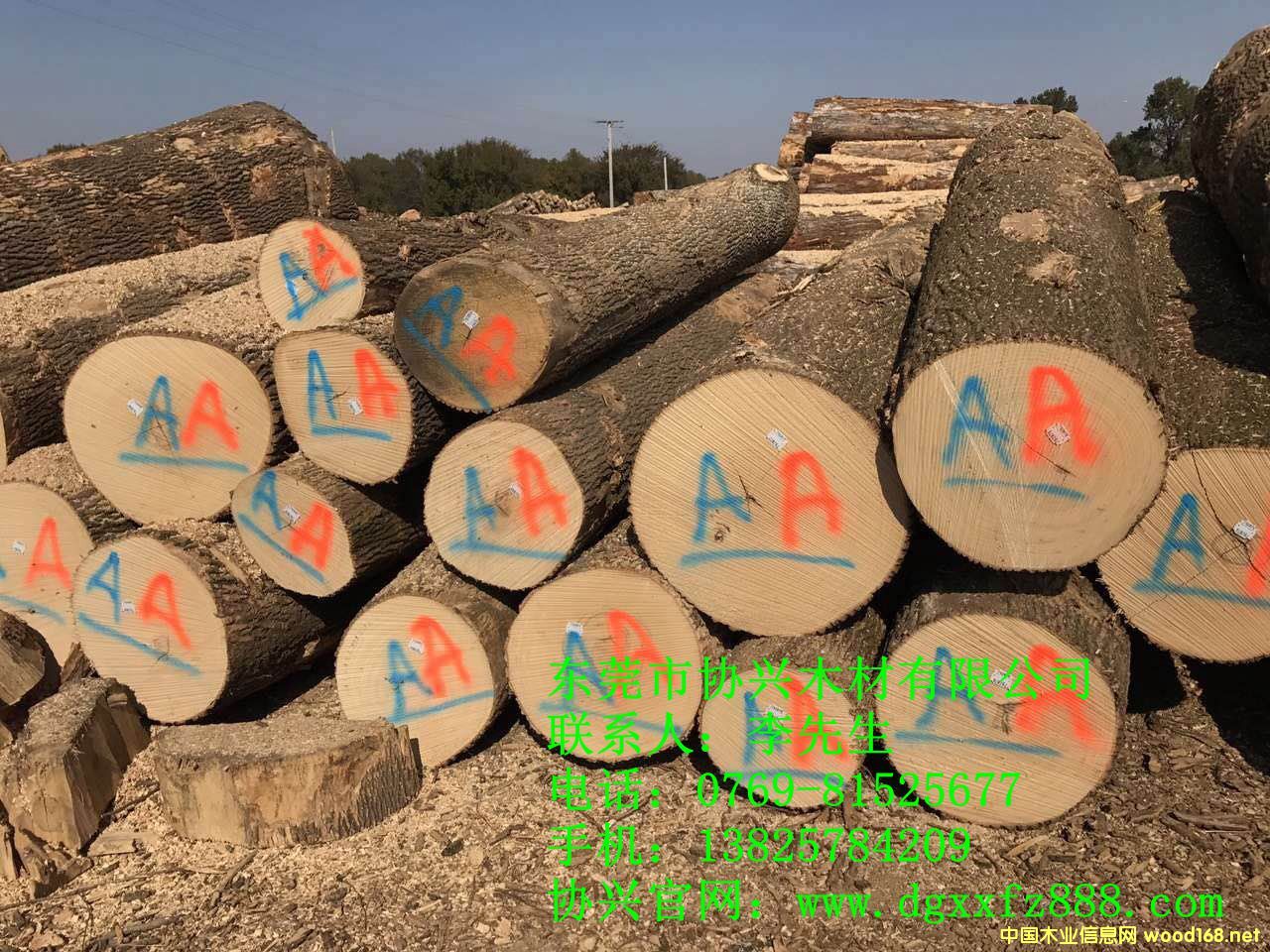 [��] ��Ϟľ��ˮ�������M�ڰ�Ϟľֱ��|�f�d��Ϟľ