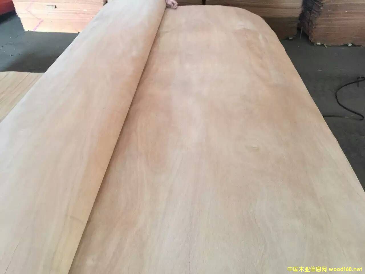 �һ�о�漈��Ԕ����B