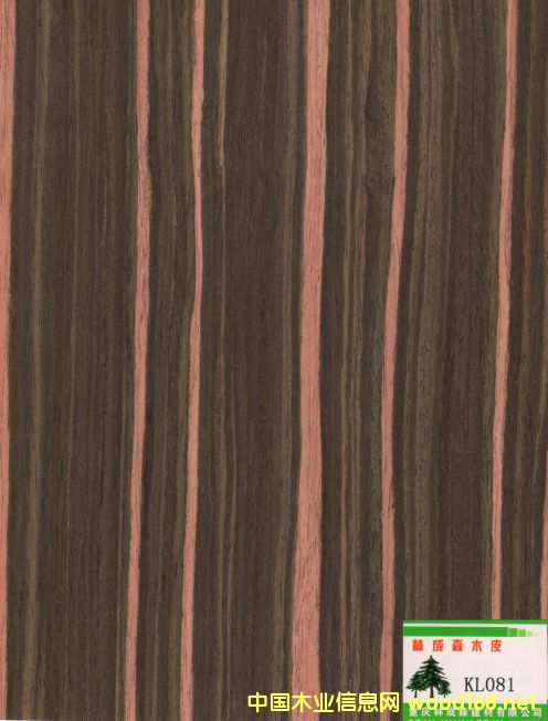 �Ƽ���̴��Ԕ��(x��)��B