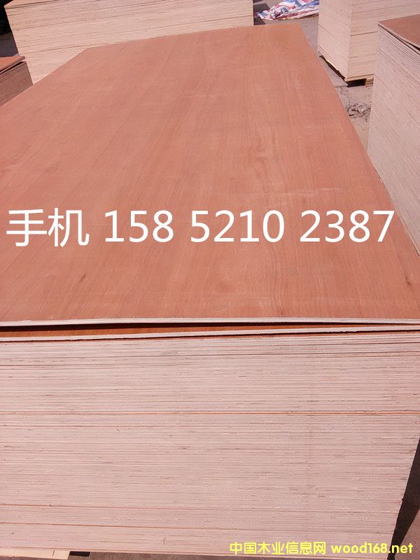 12mm ��ľ���Ӱ� ���B��