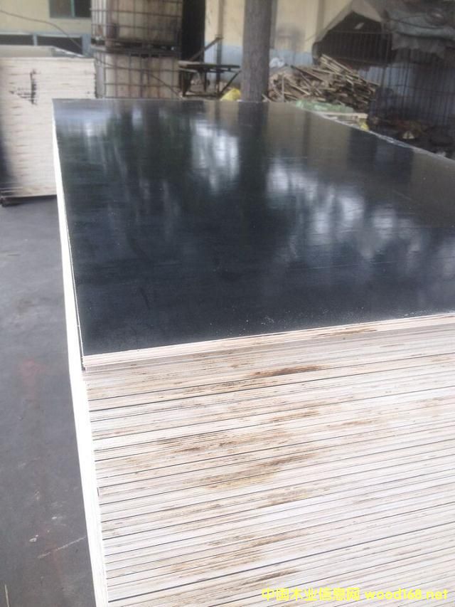 12���ɫ��ĸ��Ĥ��