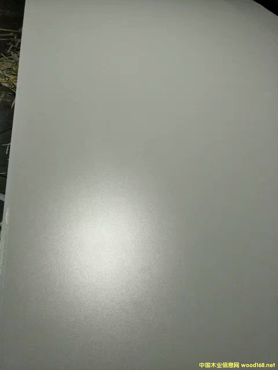 18mm ���Ӱ� �N��� �Ҿ߰�