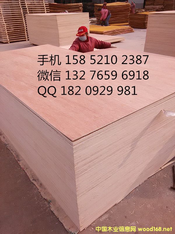 18mm ���Ӱ� �N��� �Ҿ߰�