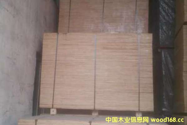 ����ģ��13