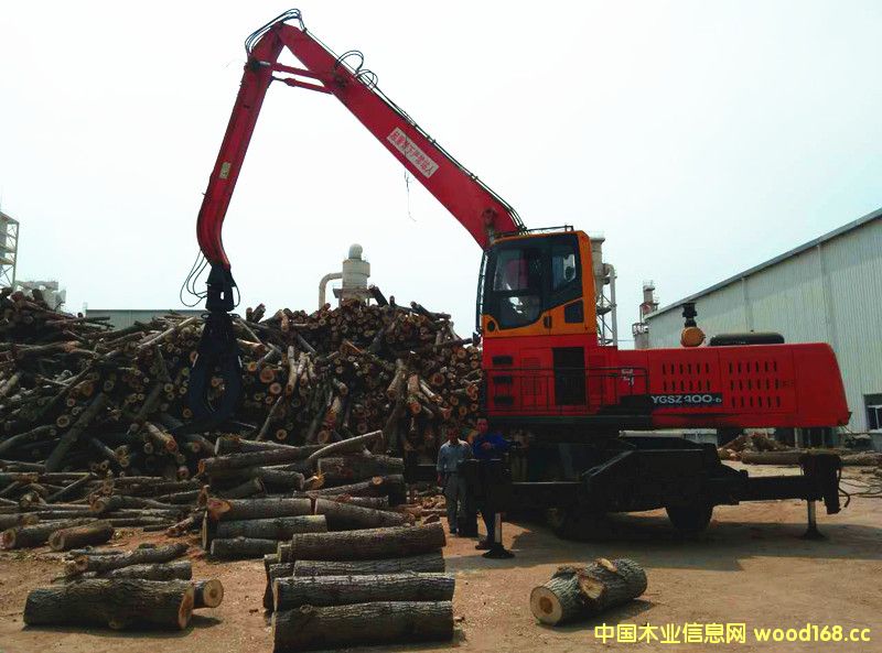 ��ǧɭ��ץľ�C