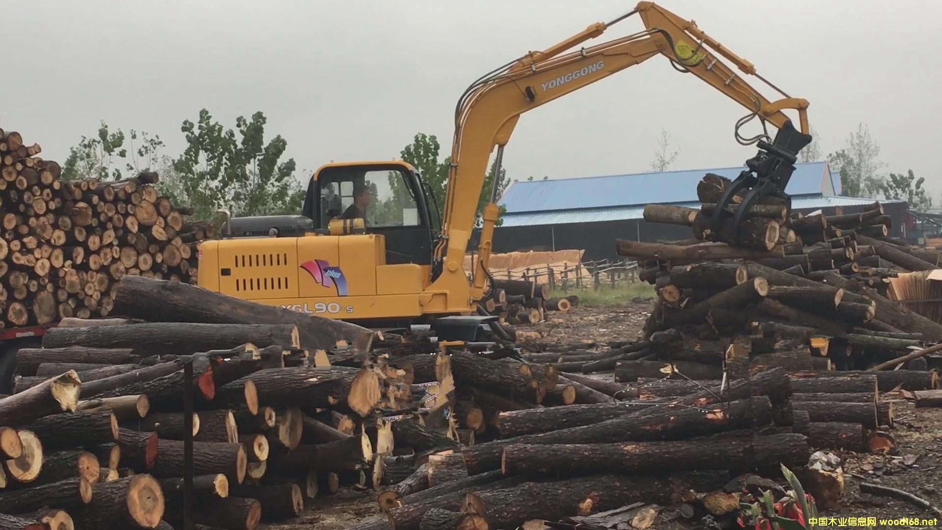 С��ץľ�C(j��)��Ԕ��(x��)��B