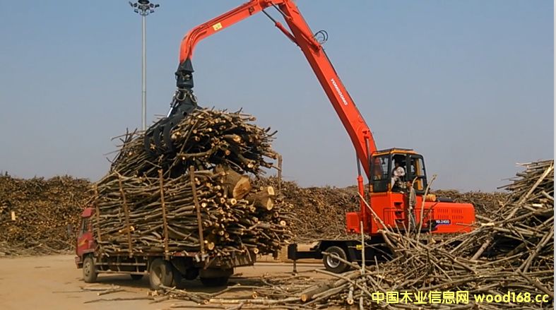 �S��ץľ�C(j��)��Ԕ��(x��)��B