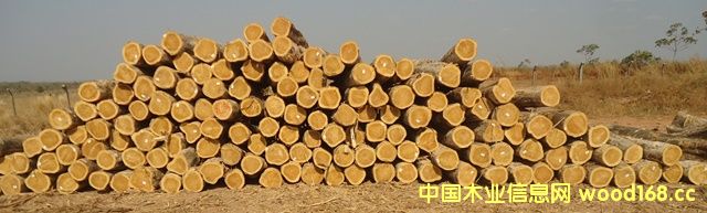 ��ľ��Ԕ����B