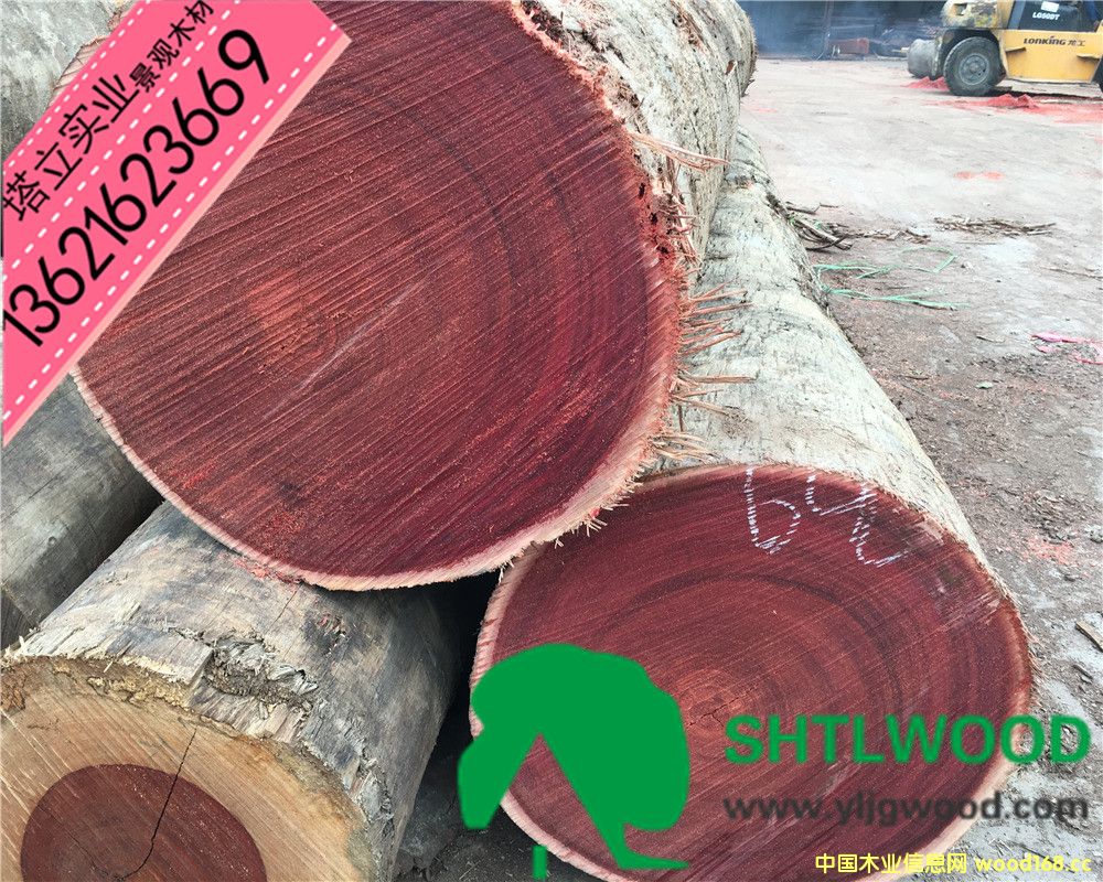 �c���鿴�t��ľ���t�̈́ڶ����Ŵ�DƬ