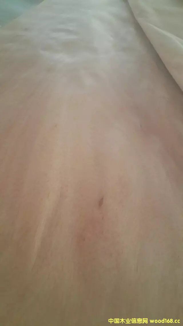 �W����ľƤ��Ԕ����B