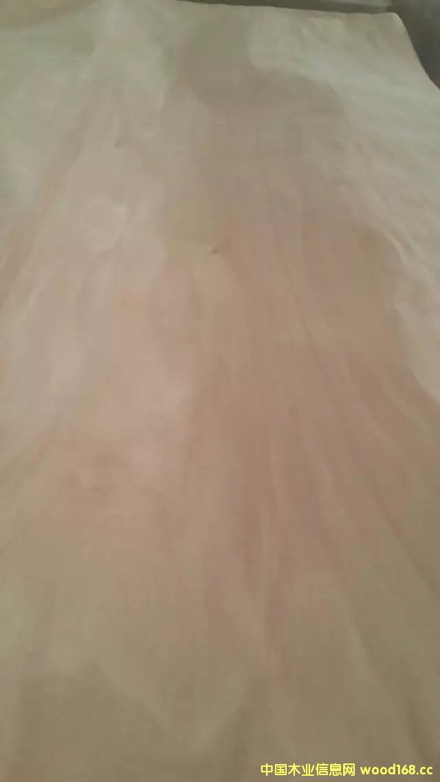 �һ�оľƤ��Ԕ����B