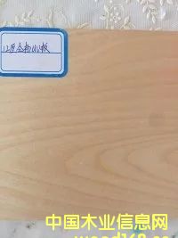 �ߙnƽģ���Ԕ��(x��)��B