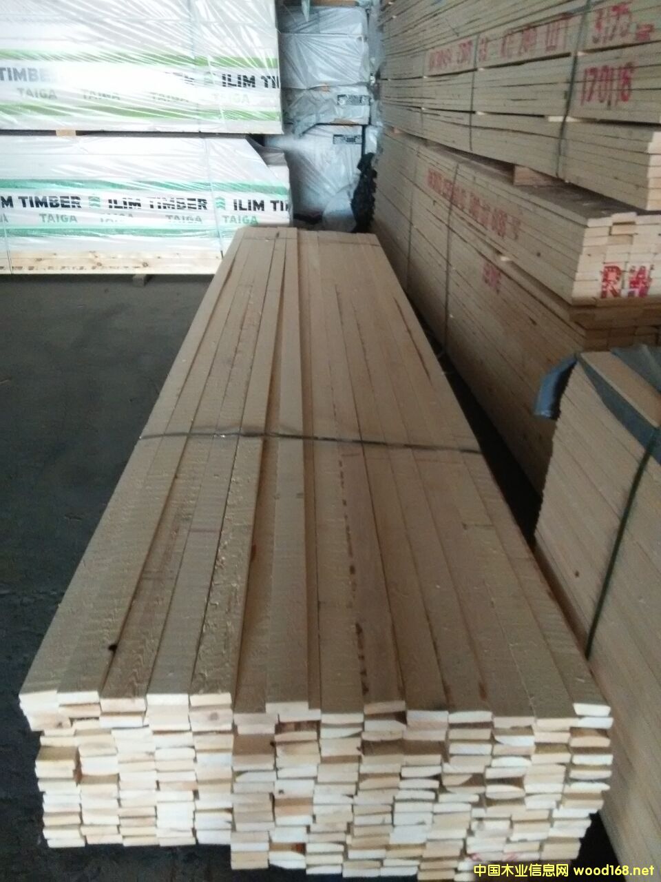 ��ľ�o����