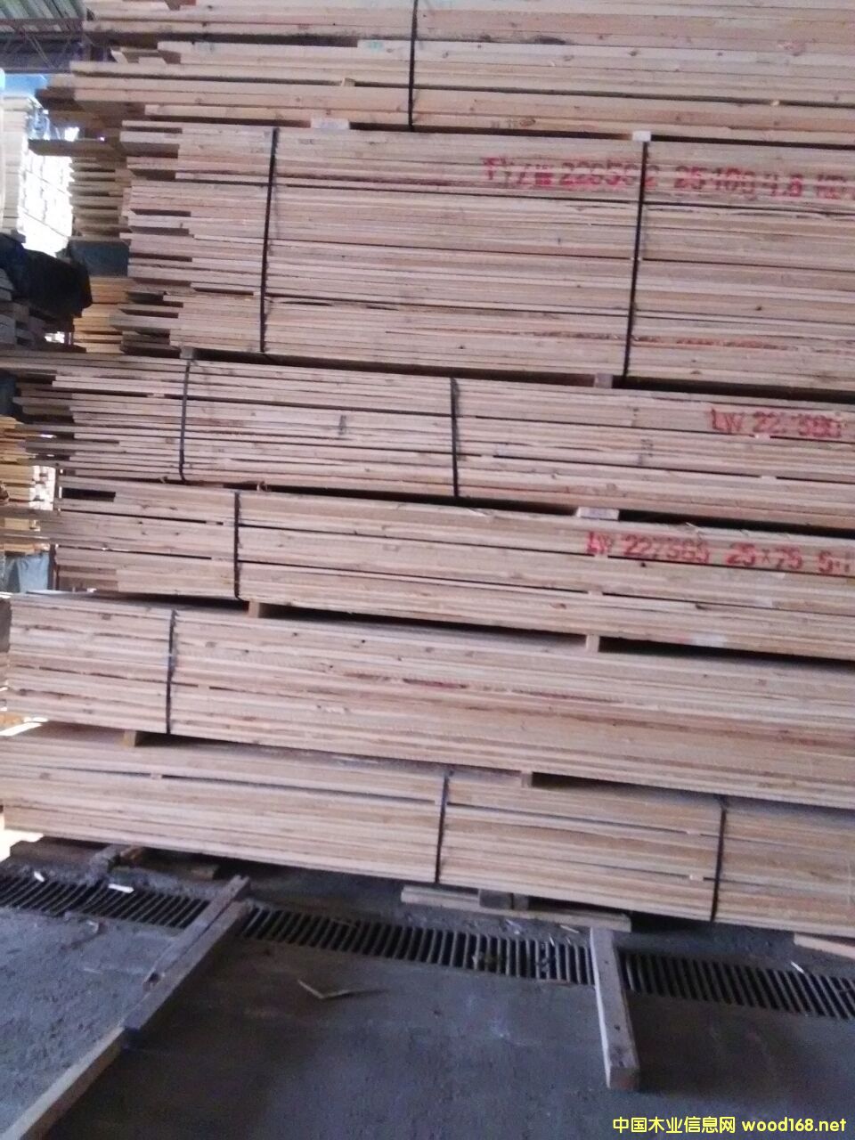 ���~�ɰ��