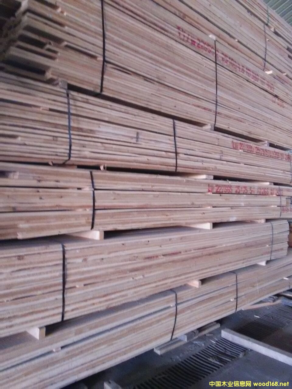 ���~�ɰ��