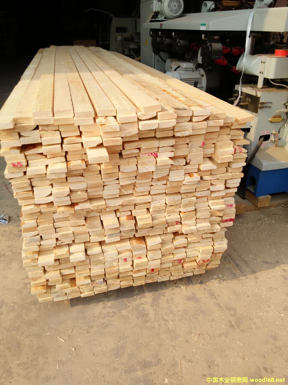 ��ľ�o(w��)��(ji��)��