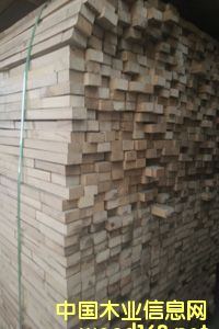 ��ľָ���l