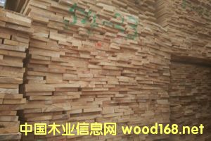 ��ľë�壨ɫ�