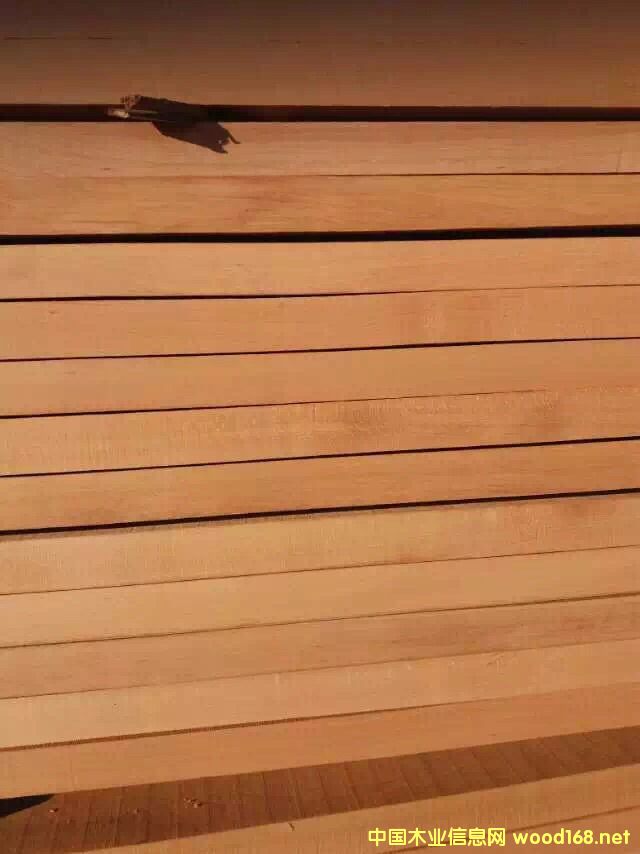 ��ľ��ĵ�Ԕ����B