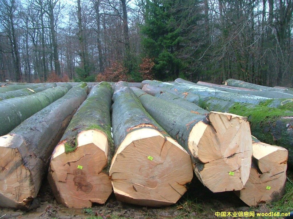 ��ľ-2016-1��Ԕ����B