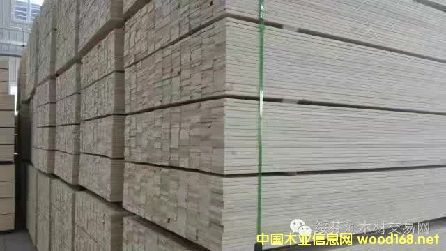 �~�[���ٹⴲ��