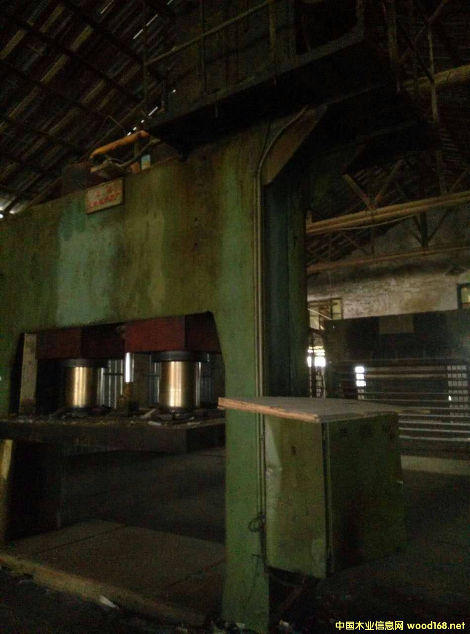 �Ϻ���C�S�䉺�C