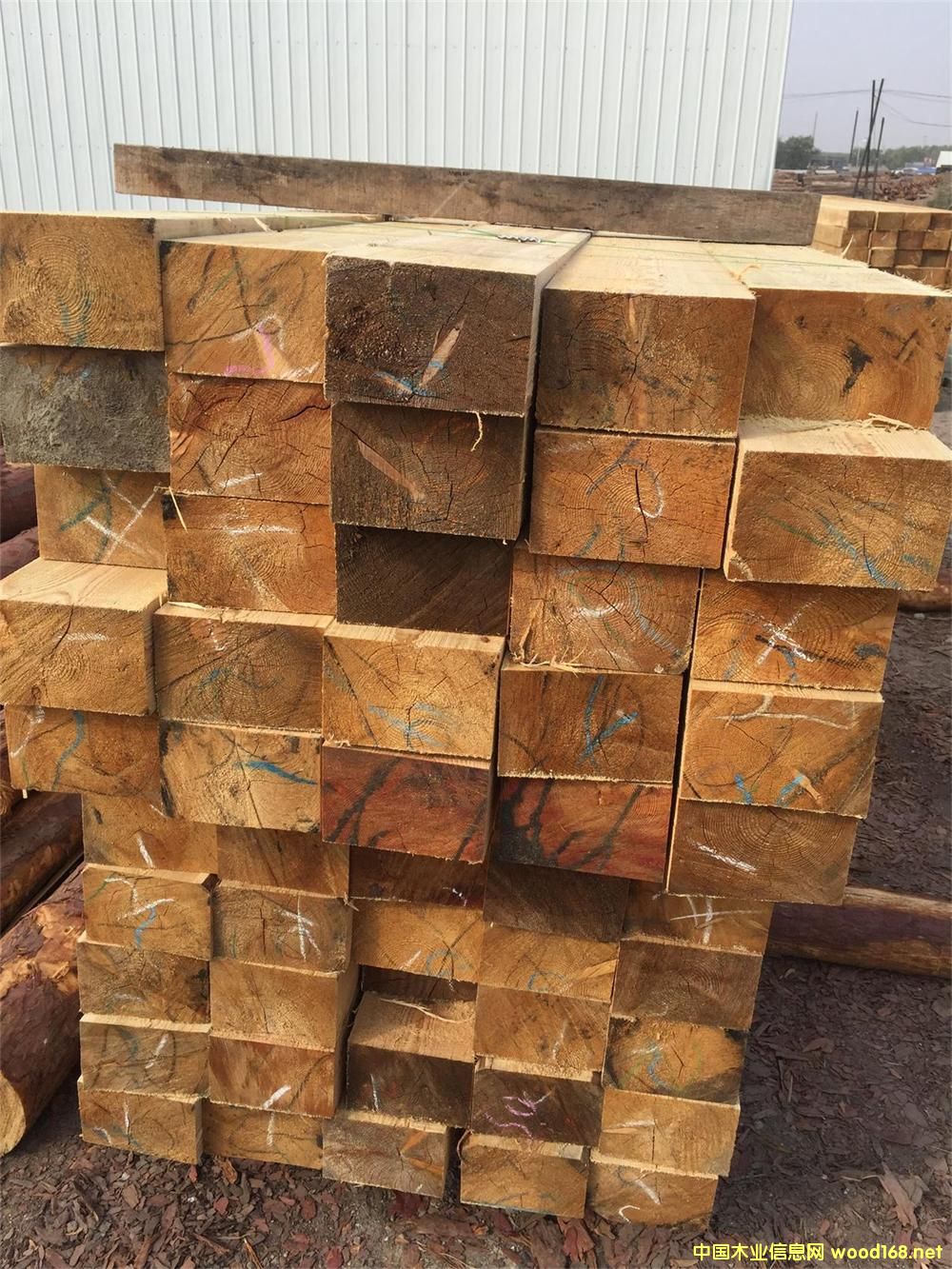 ���~�� ��ľ��Ԕ����B