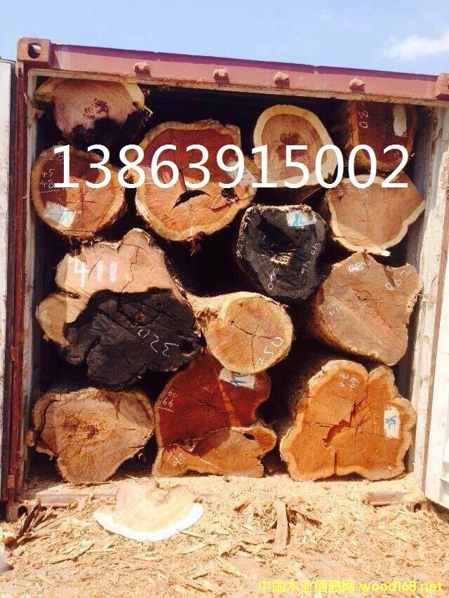 [��] Īɣ�ȿ˴��~�t̴ԭľ