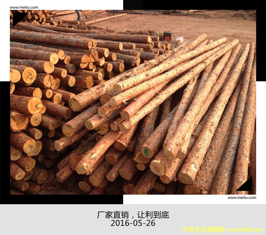 [��] ���~�ɺӵ���ľ