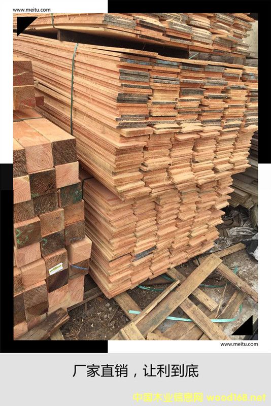 [��] ���ƻ����ɱ����