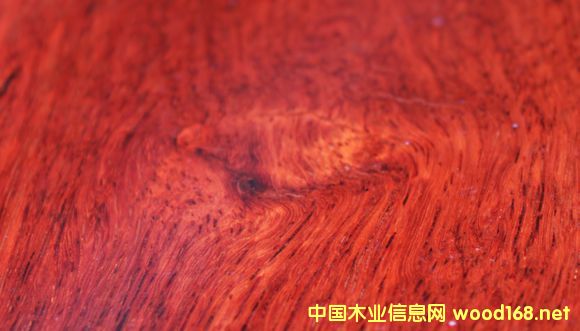 �tľ�òļ���������ľ�������̴���B����̴���ă�ȱ�c