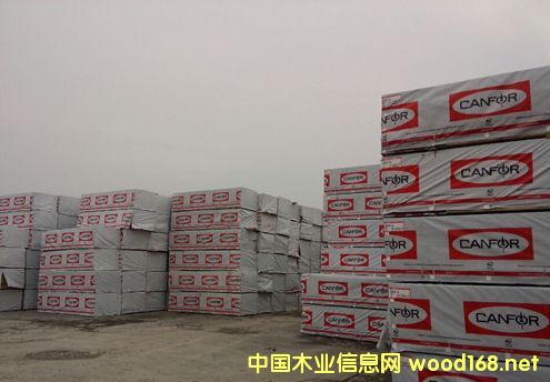 Canfor��� �Ӹ����