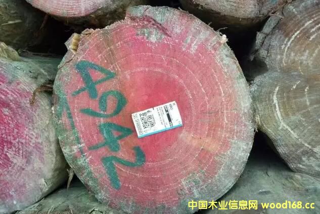 �����d�A�� ɭ��ľ�I��؛�������mݗ���ɣ�ס�џo����