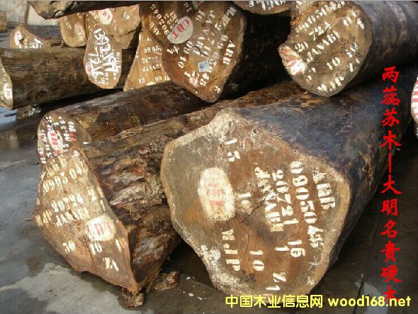 �����Kľ  �׷Q���S�|������z��ľ