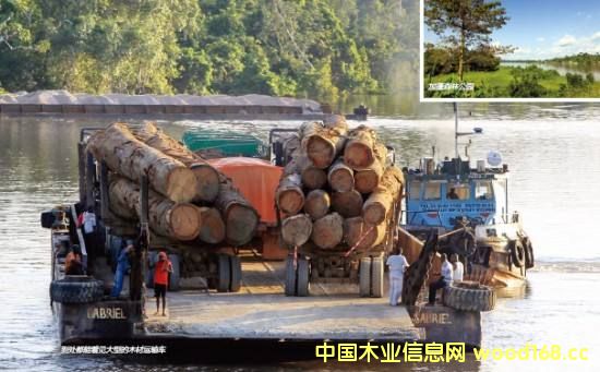 ӡ�ȶ���z�ϰ幫˾�ڼ���Ͷ�Y���ΰ�ӹ��S