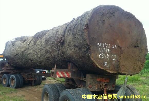 �ͻ��r���ϝq2000Ԫ/������