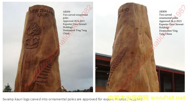 �����mؐ��ɼ��̶��ɵ�ë��ľ����Ʒ