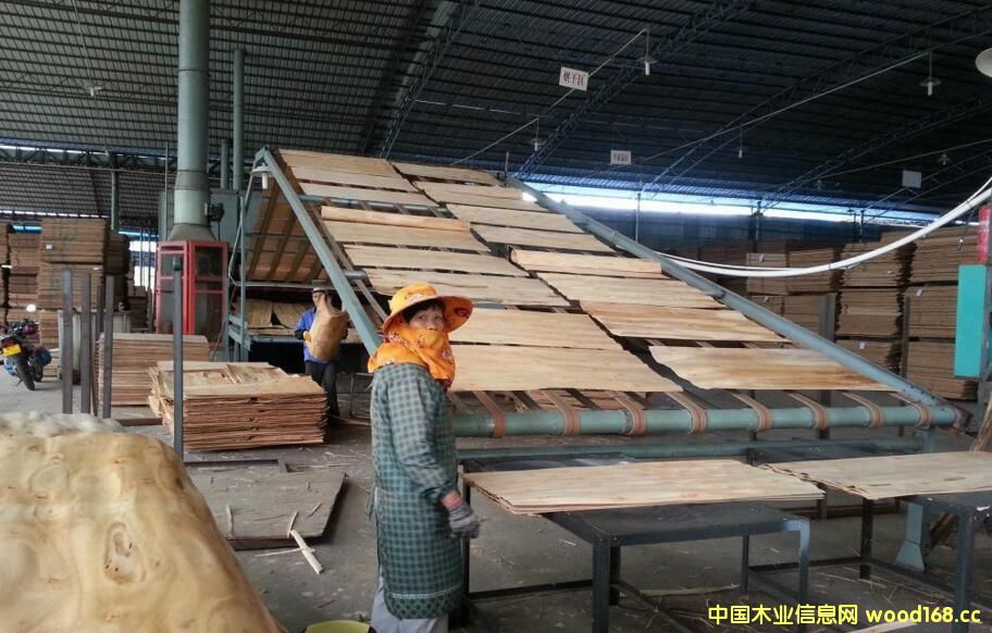 �������ľ�I���b���L�w��Ĥ�z�ϰ��A�õ�ǧ�f��ӆ��