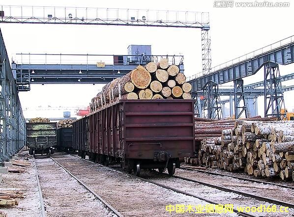 ���_˹��ռ�Ї��M��ľ�ĵ�һ��؛Դ����λ